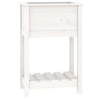 vidaXL Planter with Shelf White 54x34.5x81 cm Solid Wood Pine