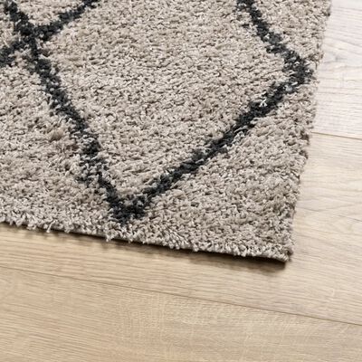 vidaXL Shaggy Rug PAMPLONA High Pile Modern Beige and Anthracite 140x200 cm