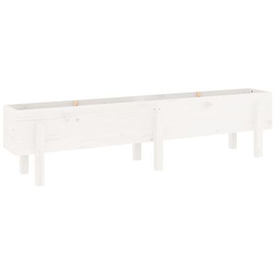 vidaXL Garden Raised Bed White 160x30x38 cm Solid Wood Pine