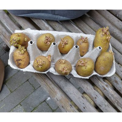 Nature Potato Grow Bag 37 L Beige