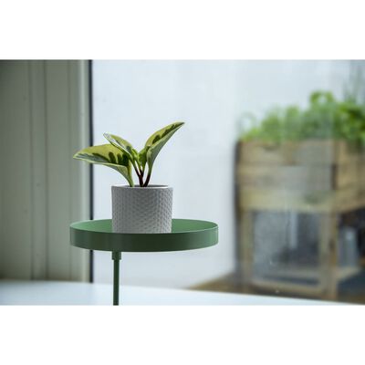 Esschert Design Plant Tray with Clamp Round Green M