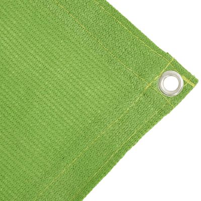 vidaXL Tent Carpet Light Green 250x200 cm HDPE