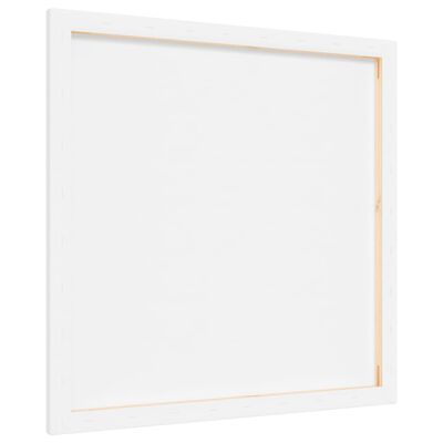 vidaXL Stretched Canvases 12 pcs White Fabric and Solid Wood Pine