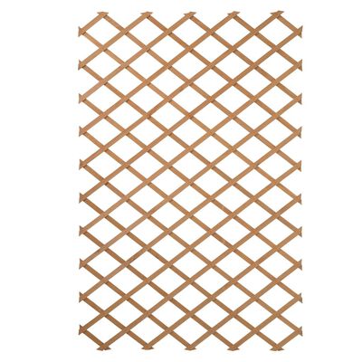 Nature Garden Trellis 100x200 cm Wood Natural 6041703