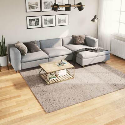 vidaXL Shaggy Rug PAMPLONA High Pile Modern Beige 240x240 cm