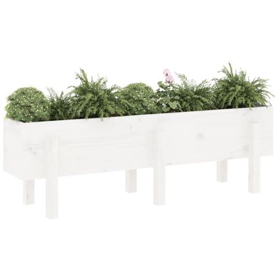 vidaXL Garden Raised Bed White 121x30x38 cm Solid Wood Pine