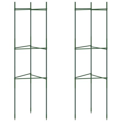 vidaXL Tomato Cage 2 pcs 116 cm Steel and PP