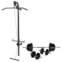 vidaXL Wall-mounted Power Tower with Barbell and Dumbbell Set 60.5 kg