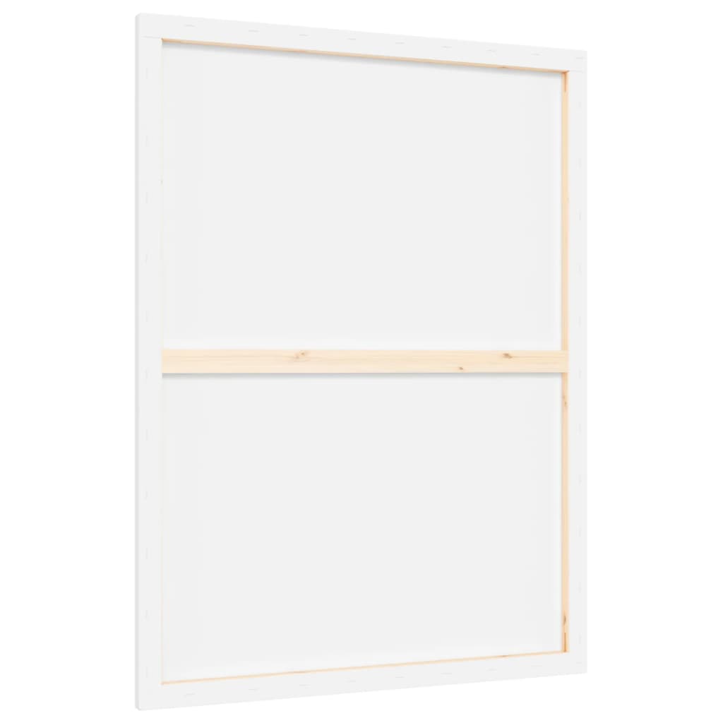 vidaXL Stretched Canvases 12 pcs White Fabric and Solid Wood Pine