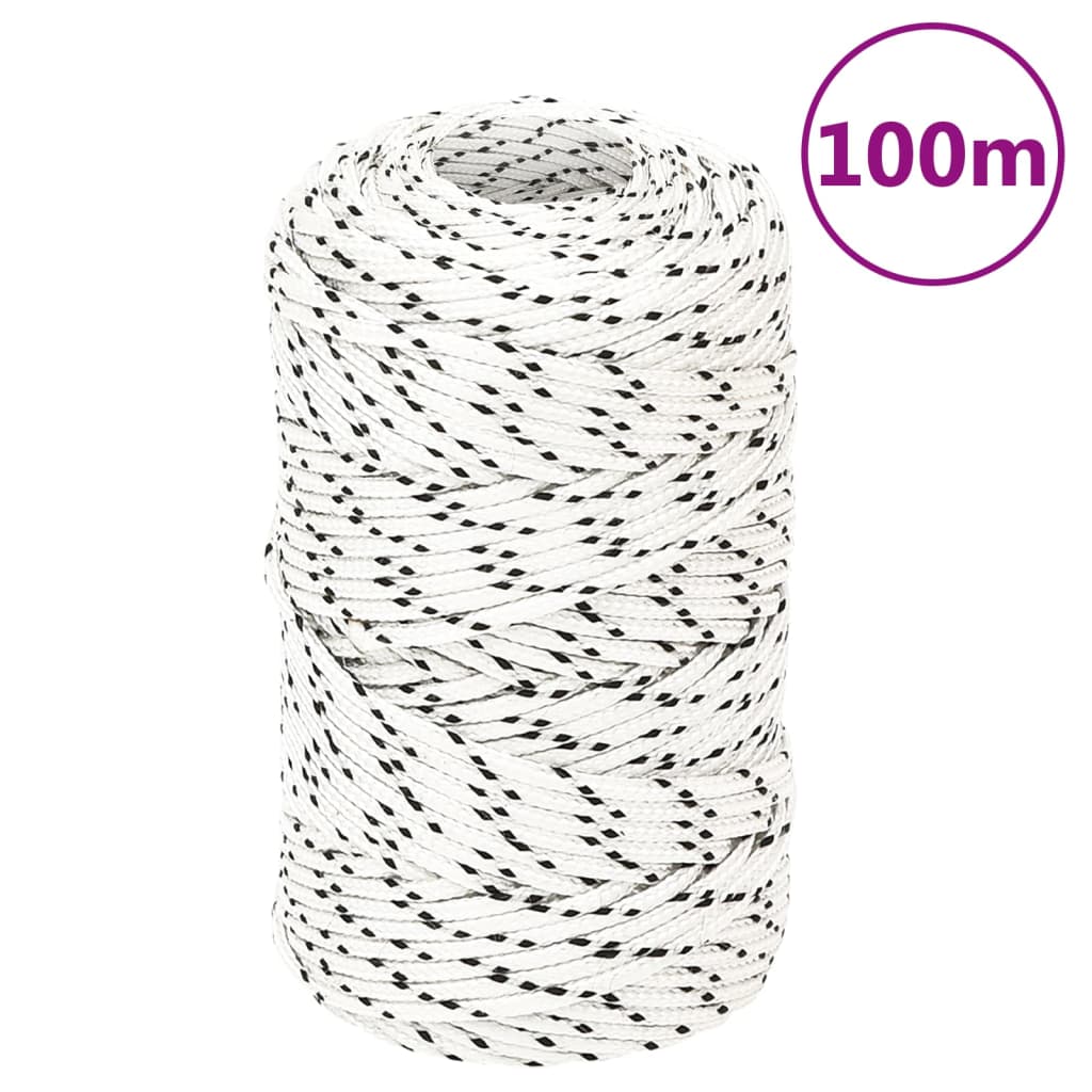 vidaXL Braided Boat Rope White 2 mmx100 m Polyester