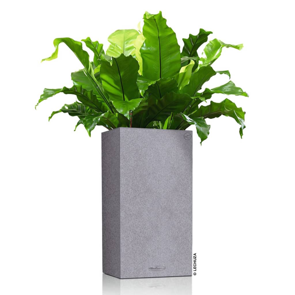 LECHUZA Planter CANTO Stone 40 High ALL-IN-ONE Stone Grey