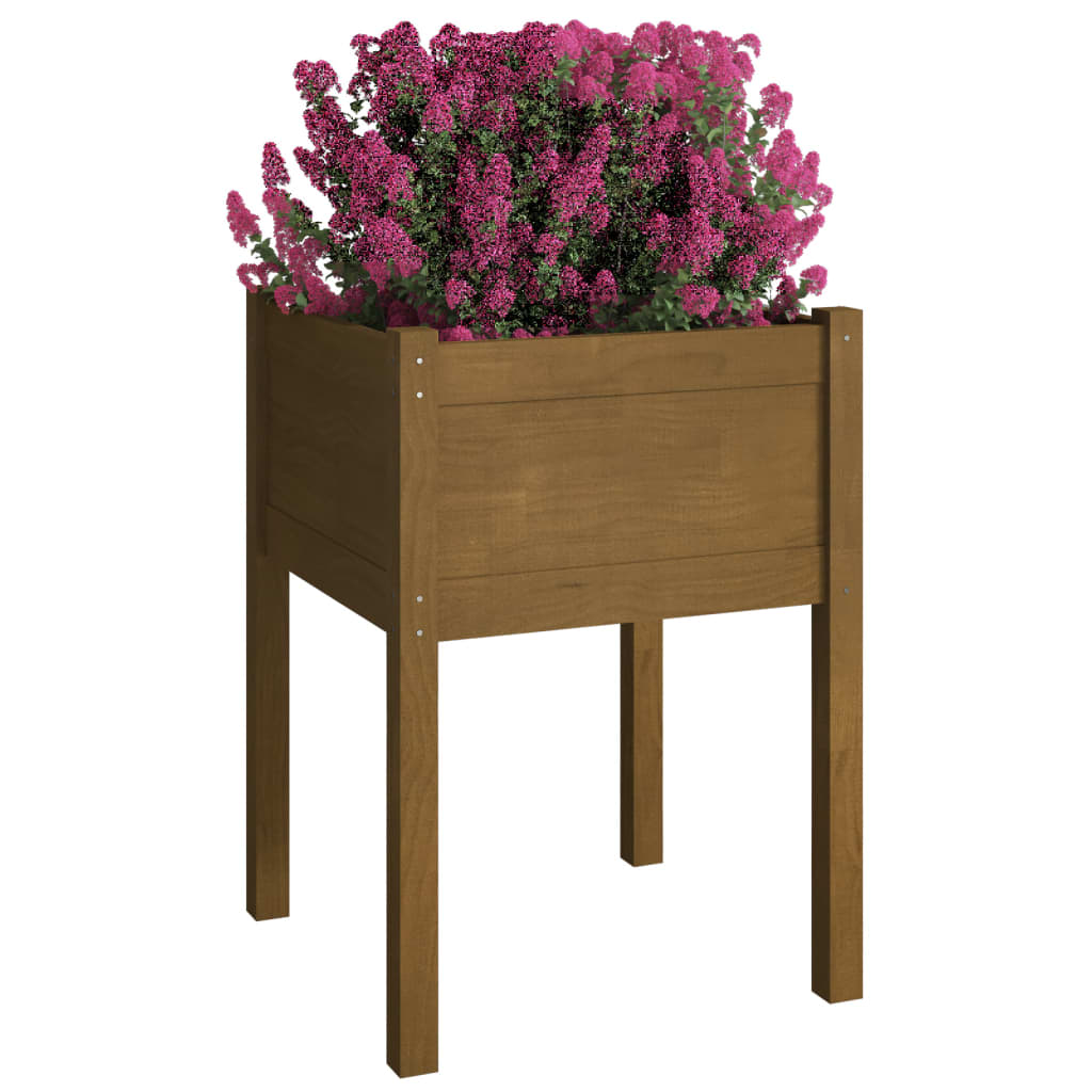 vidaXL Garden Planters 2 pcs Honey Brown 50x50x70 cm Solid Pinewood