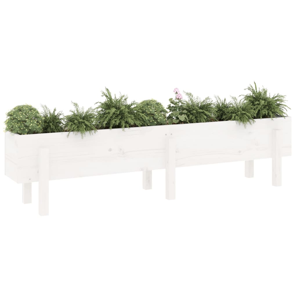 vidaXL Garden Raised Bed White 160x30x38 cm Solid Wood Pine