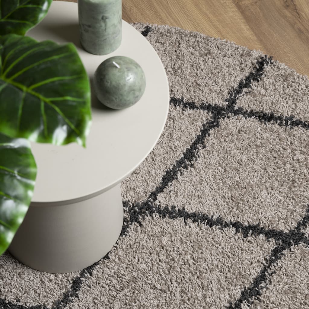 vidaXL Shaggy Rug PAMPLONA High Pile Modern Beige and Anthracite Ø 200 cm