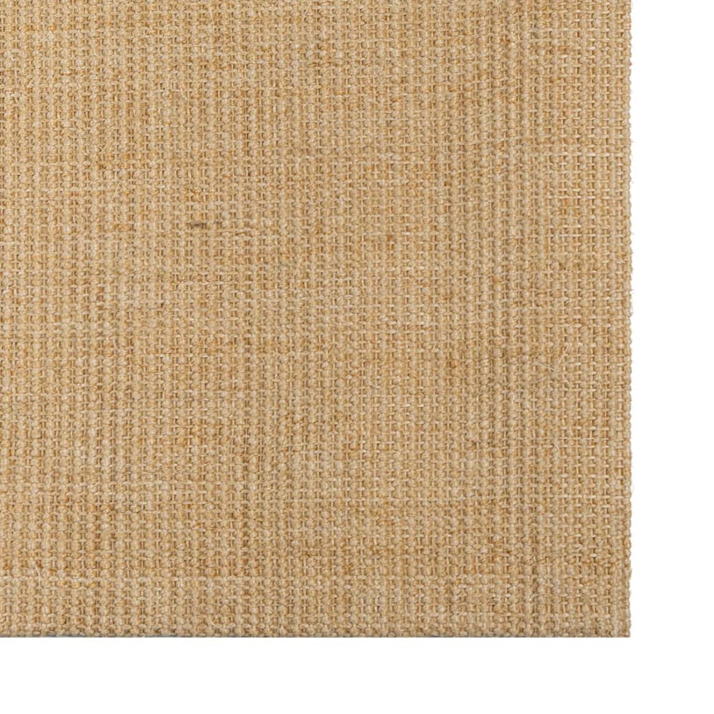 vidaXL Rug Natural Sisal 66x100 cm