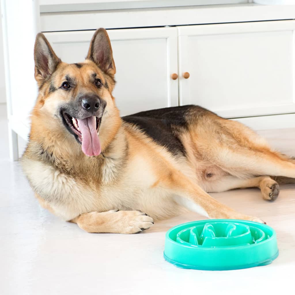 Outward Hound Fun Feeder Dog Bowl, Teal