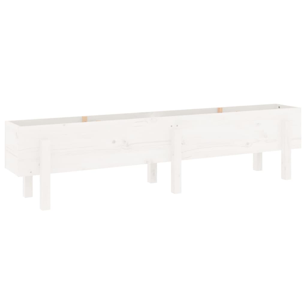 vidaXL Garden Raised Bed White 160x30x38 cm Solid Wood Pine