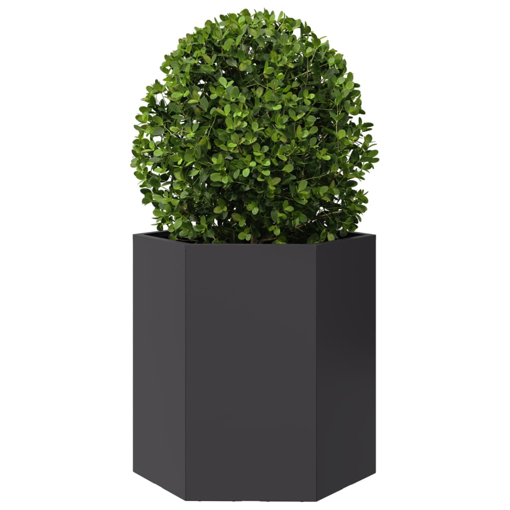 vidaXL Garden Planter Black Hexagon 46x40x45 cm Steel