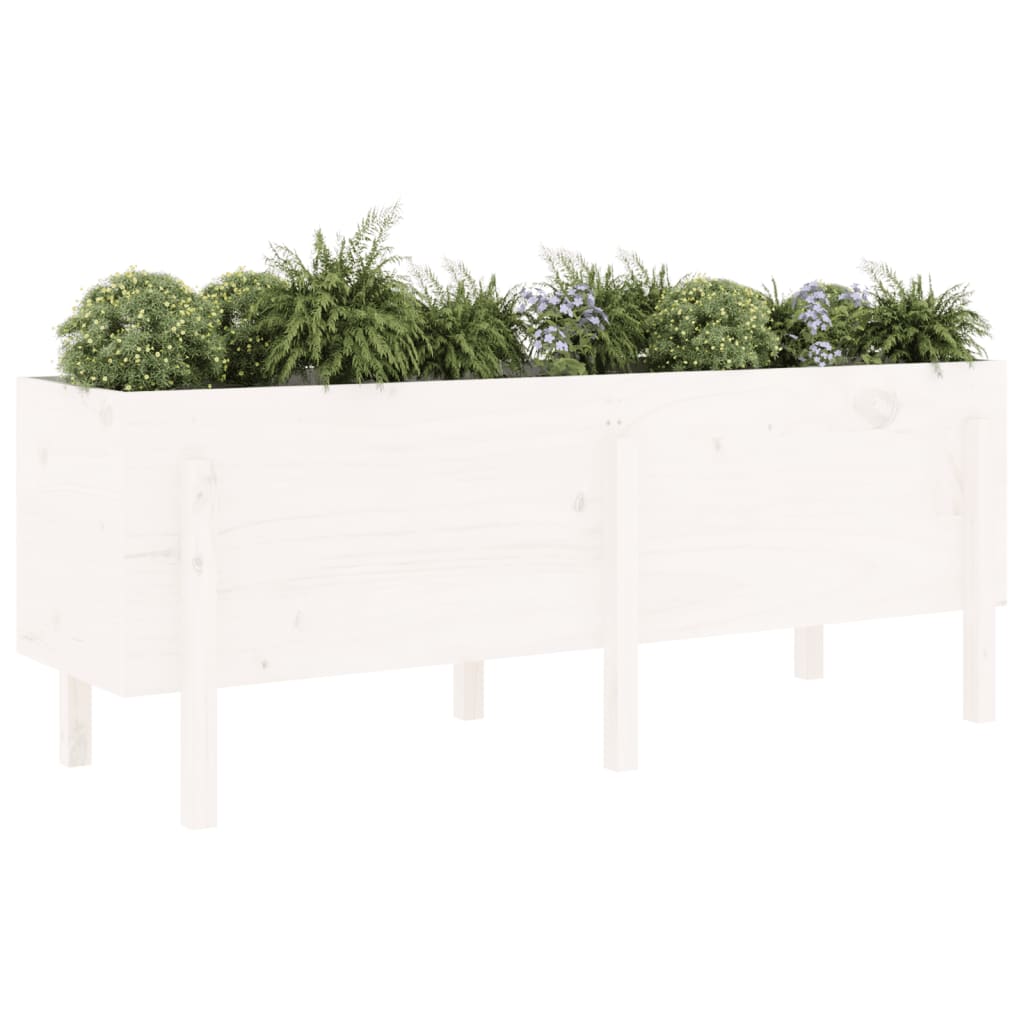 vidaXL Garden Raised Bed White 160x50x57 cm Solid Wood Pine