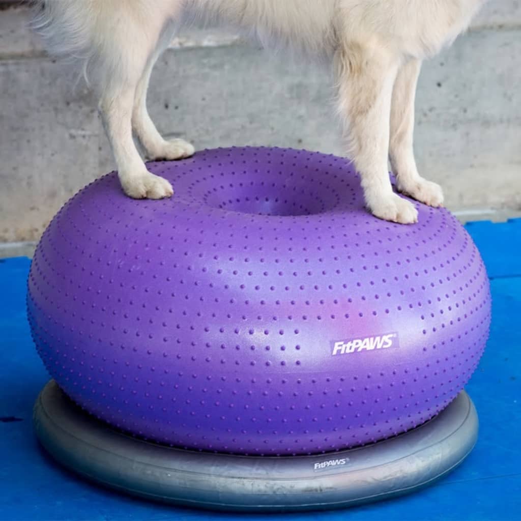 why does my dog have purple balls